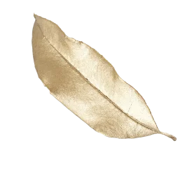 luchiana 2233701518