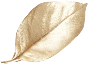 luchiana 2242231634