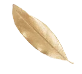 luchiana 2359558945